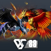 Sabong - fly 168 club